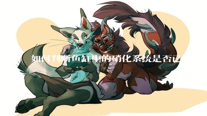 如何判断鱼缸中的硝化系统是否已经成功建立？